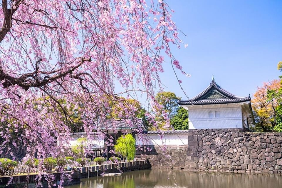 Tokyo: Tokyo Imperial Palace History Private Walking Tour - Optional Drop-off Locations