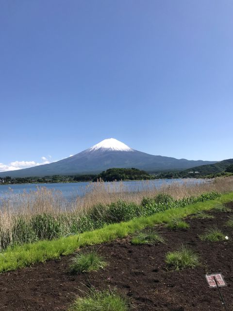 Tokyo: Mt Fuji Area Guided Tour With Traditional Lunch - Conclusion