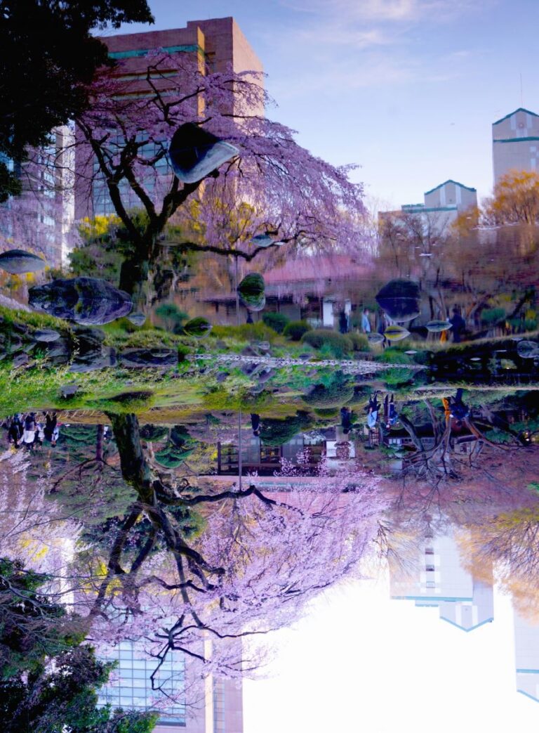 Where To See Cherry Blossom: Tokyo’s 16 Best Sakura Spots