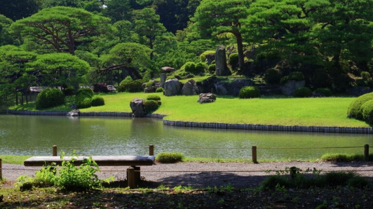 Discover The Best Traditional Japanese Gardens In Tokyo
