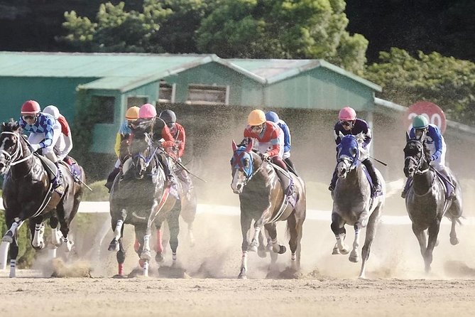 A Tour to Enjoy Japanese Official Gambling (Horse Racing, Bicycle Racing, Pachinko) - Key Takeaways