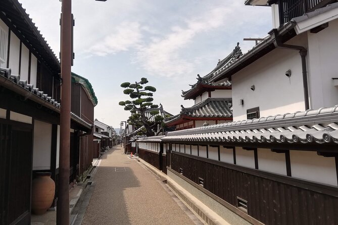 Ancient Nara Walking and Cycling Tour in Asuka - Key Takeaways