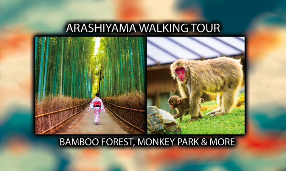 Arashiyama Kyoto: Bamboo Forest, Monkey Park & Secrets - Key Takeaways