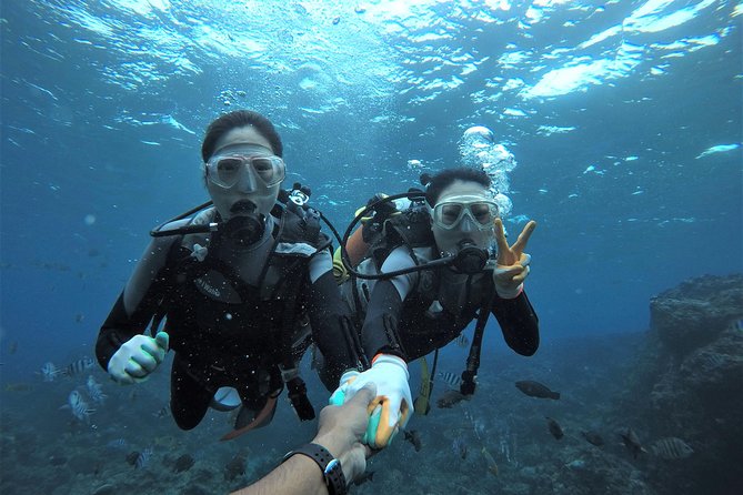 Blue Cave Experience Diving! [Okinawa Prefecture] Feeding & Photo Image Free! English, Chinese Guide - Key Takeaways