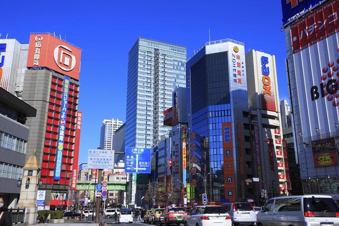 Exclusive Experience: Tailored Anime & Culture Tour in Akihabara - Just The Basics