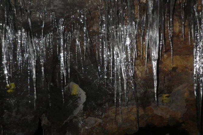 Exploring Mt Fuji Ice Cave and Sea of Trees Forest - Key Takeaways