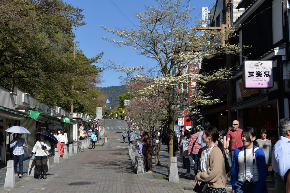 From Kyoto: Old Port Town and Ultimate Sake Tasting Tour - Key Takeaways