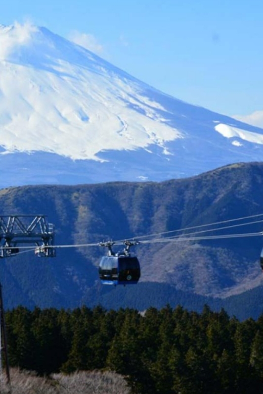 From Tokyo: 10-hour Hakone Private Custom Tour - Just The Basics