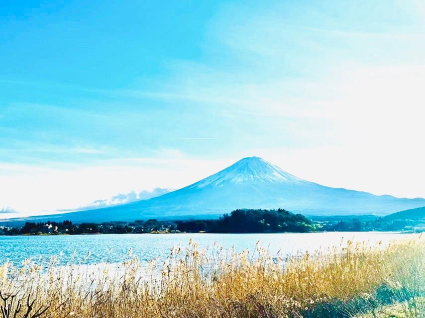 From Tokyo: Guided Day Trip to Kawaguchi Lake and Mt. Fuji - Key Takeaways