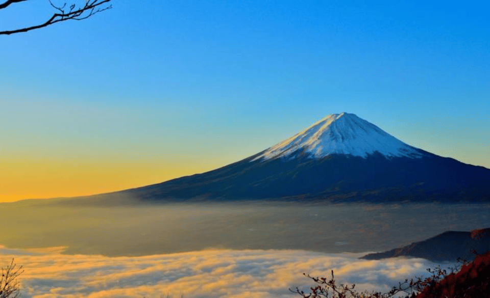 From Tokyo: Mount Fuji Full-Day Private Customized Tour - Just The Basics