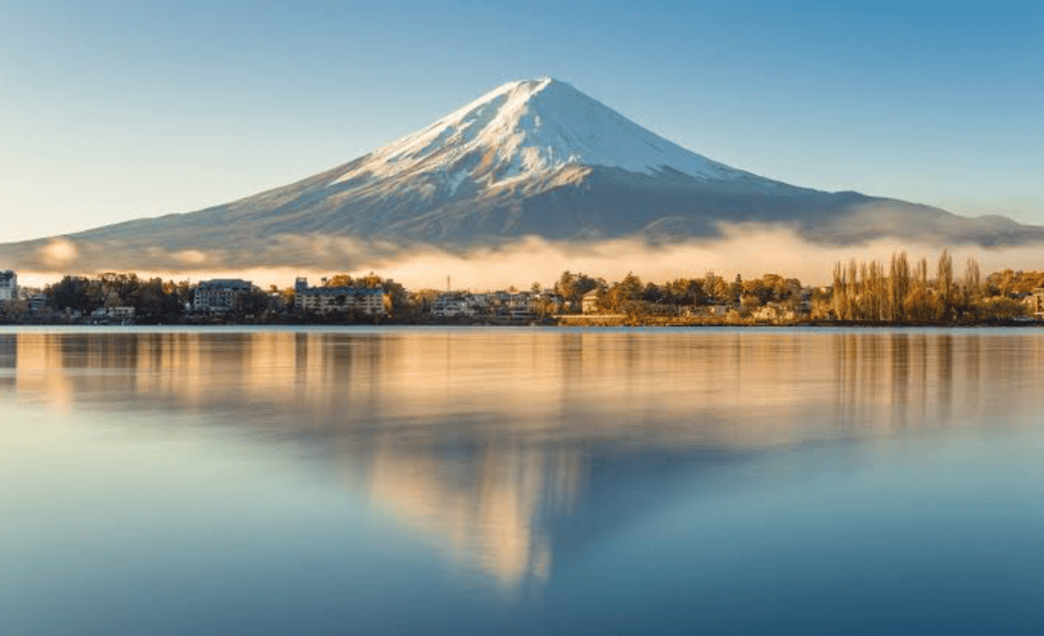 From Tokyo: Mount Fuji Full Day Private Tours English Driver - Tour Experience