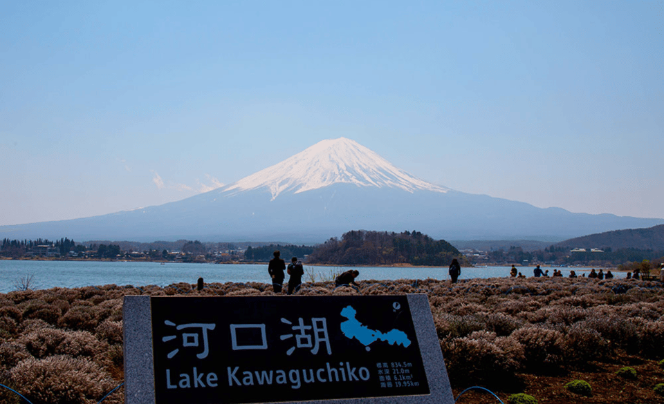 From Tokyo Mount Fuji Private Tour English Speaking Driver - Just The Basics