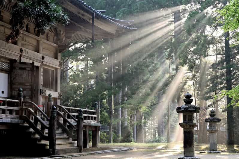 From Tokyo: Private Nikko World Heritage Sights Day Trip - Just The Basics