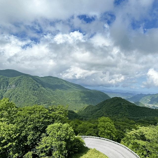 From Tokyo: Private Nikko World Heritage Sights Day Trip - Booking Information