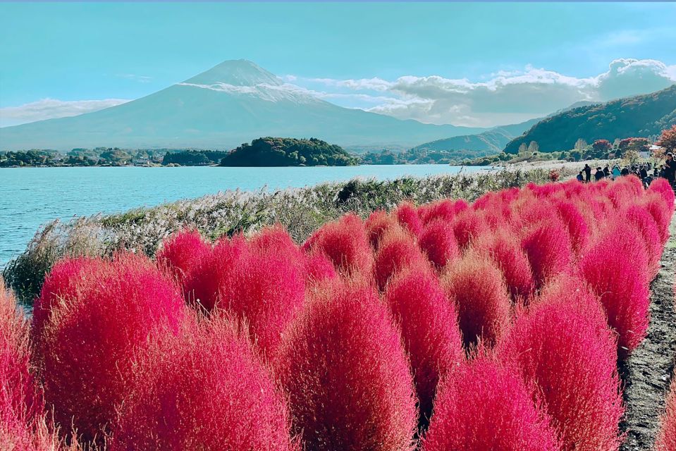 From Tokyo: Private Sightseeing Tour to Mount Fuji & Hakone - Just The Basics