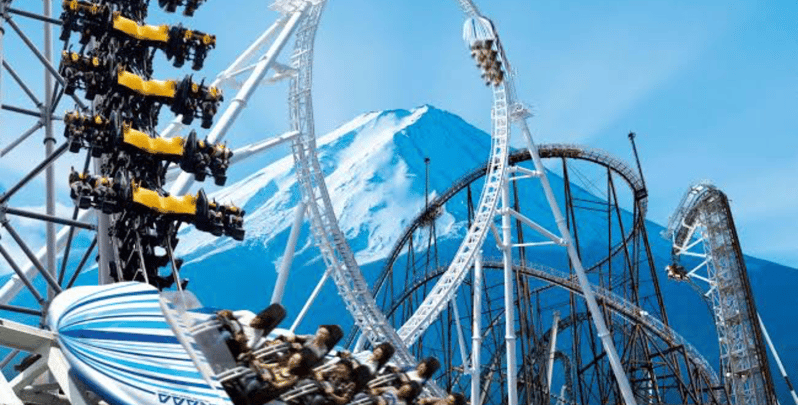 Fuji-Q Highland Amusement Park: 1 Day Private Tour by Car - Just The Basics