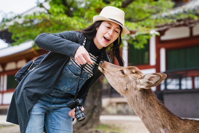 Full Day Excursion: Kyoto and Nara Highlights From Kyoto/Osaka - Key Takeaways