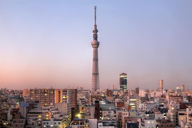 Full Day Private Shore Tour in Tokyo From Tokyo Cruise Port - Just The Basics