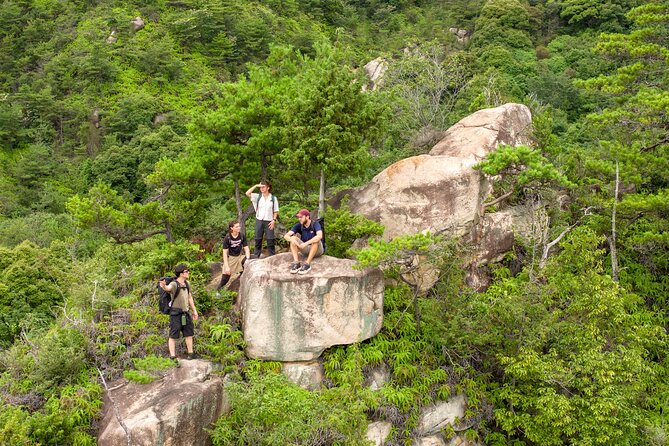 Half Trekking Tour With Panoramic View of Miyajima Included Lunch - Key Takeaways