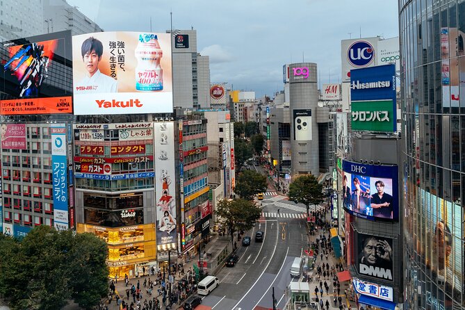 Highlights & Hidden Gems of the Shibuya District Private Tour - Just The Basics