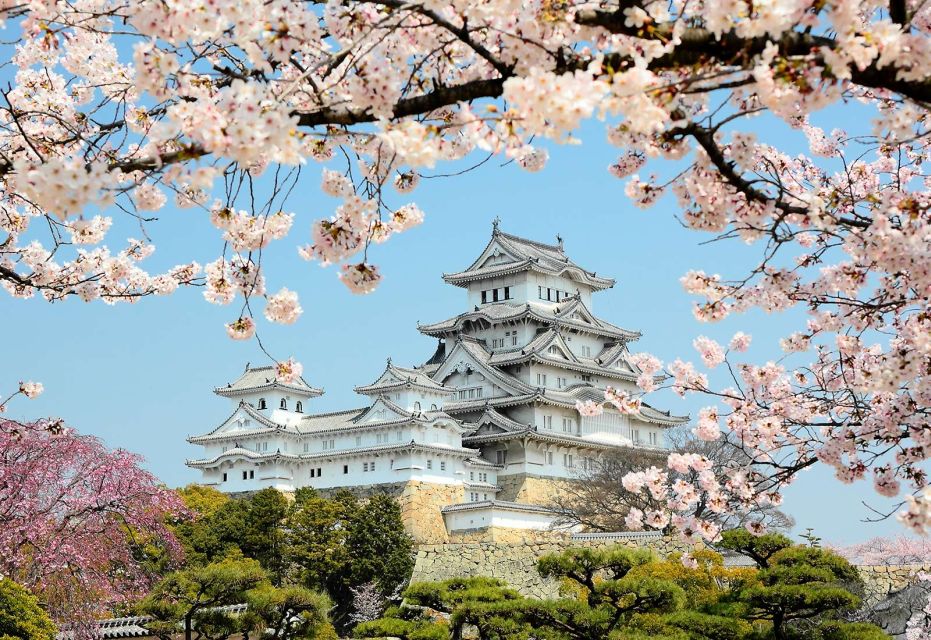 Himeji: Private Customized Tour With Licensed Guide - Key Takeaways