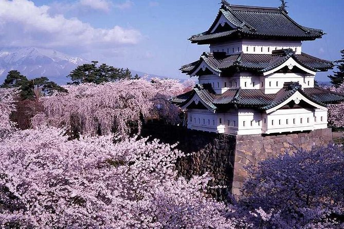 Hirosaki Full-Day Private Tour With Government-Licensed Guide - Key Takeaways