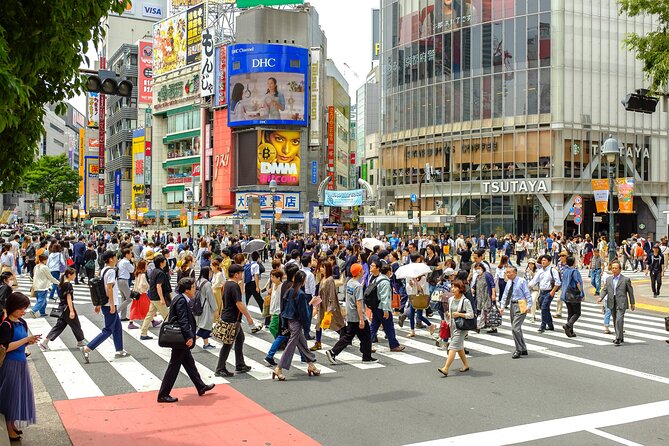 Introductory Tokyo Tour for the First Timers: Learn Basic Travel Tips and Tricks - Just The Basics