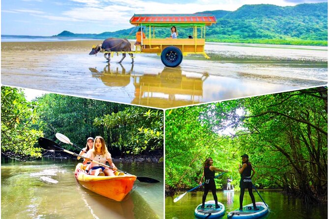 Iriomote: Canoe Tour and Sightseeing in Yubujima Island - Key Takeaways