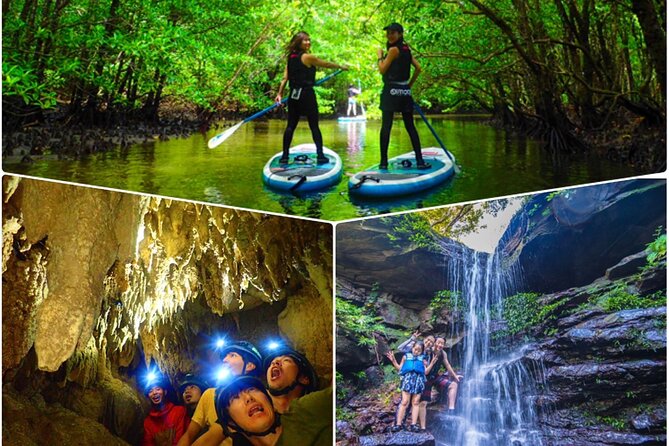 Iriomote Stand-Up Paddling (SUP)/Canoeing in a World Heritage Site & Limestone Cave Exploration - Key Takeaways