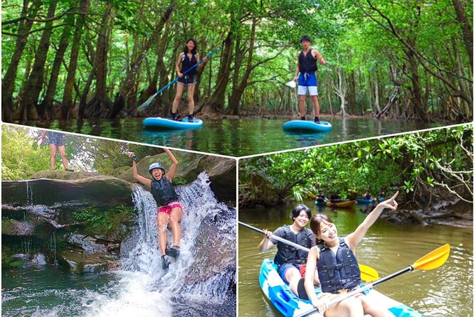 Iriomote SUP/Canoe Tour at Mangrove ForestSplash Canyoning!! - Key Takeaways