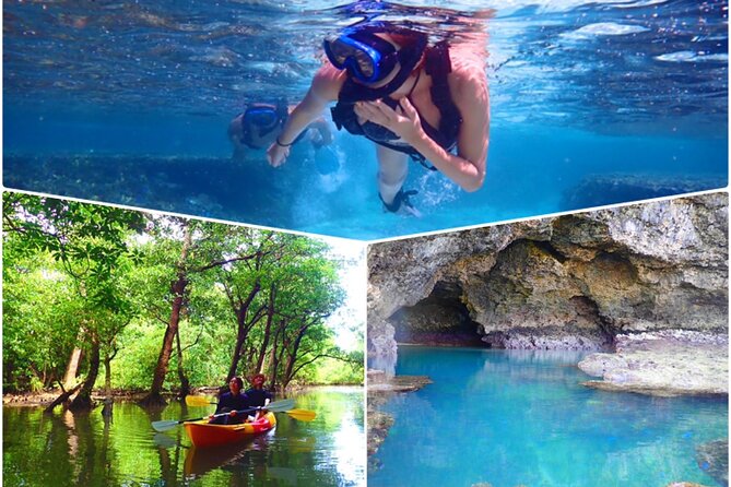 Ishigaki Mangrove SUP/Canoe Blue Cave Snorkeling - Key Takeaways