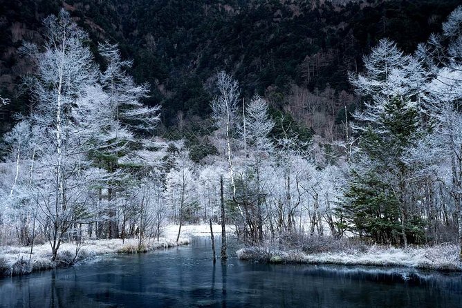 Japan Alps Kamikochi Day Hike With Government-Licensed Guide - Key Takeaways