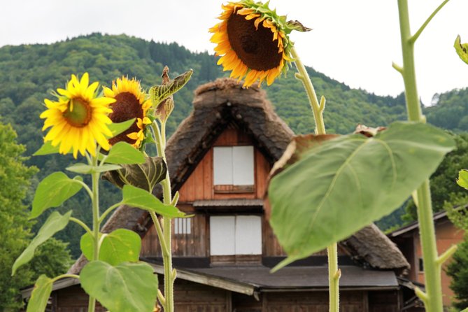 Kanazawa to Takayama (One-Way) Including Shirakawago (Private Tour) - Key Takeaways