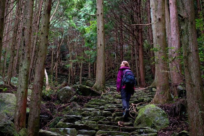 Kumano Kodo Pilgrimage Full-Day Private Trip With Government Licensed Guide - Key Takeaways