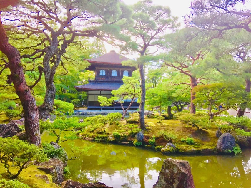 Kyoto: Private Guided Tour of Temples and Shrines - Just The Basics