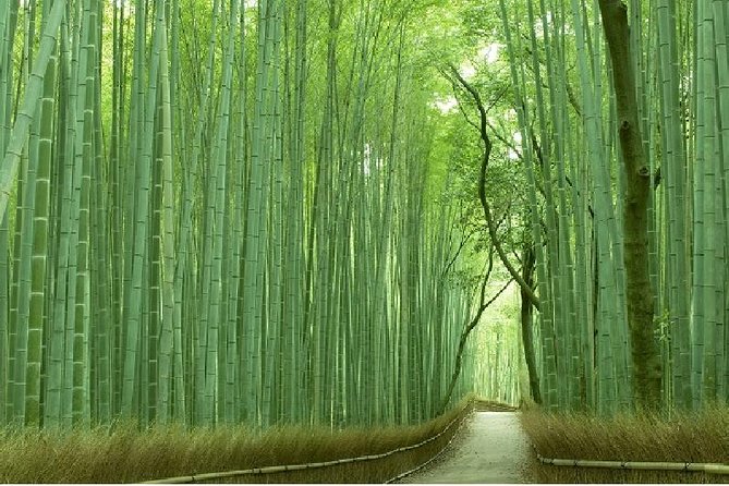 Kyoto Sagano Bamboo Grove & Arashiyama Walking Tour - Key Takeaways