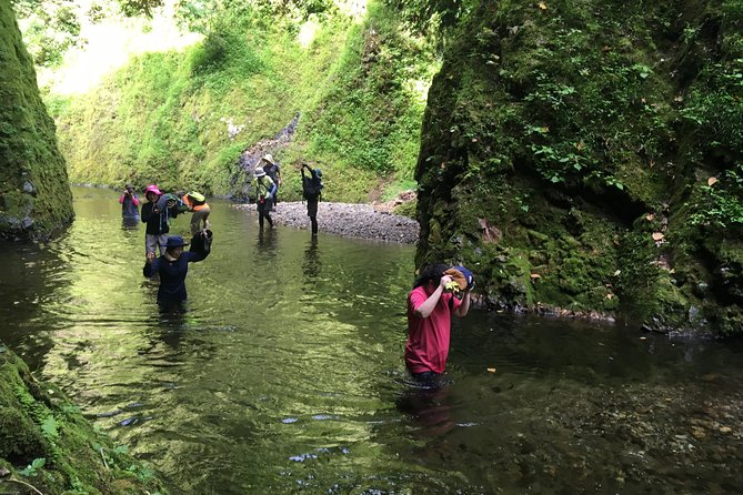 Matt Canyon River Trekking, Nishiwaga Town, Iwate Prefecture - Key Takeaways