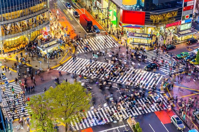 Meiji Jingu Shrine, Shibuya Crossing by a Local Guide Tip-Based - Just The Basics