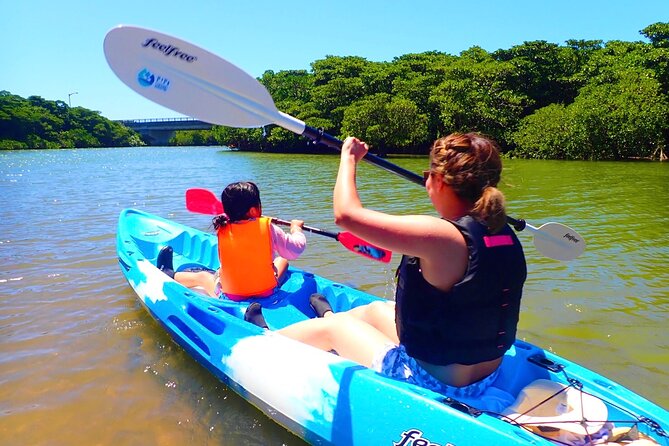 Miyara River 90-Minute Small-Group SUP or Canoe Tour 2024 - Ishigaki - Key Takeaways