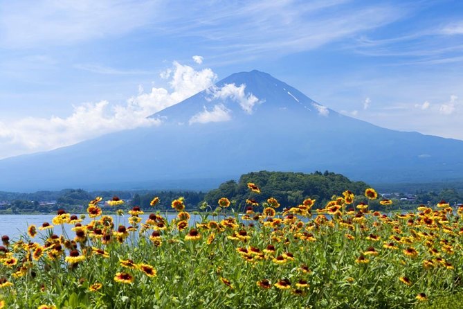 Mt Fuji Day Tour With Kawaguchiko Lake and Fifth Station - Just The Basics