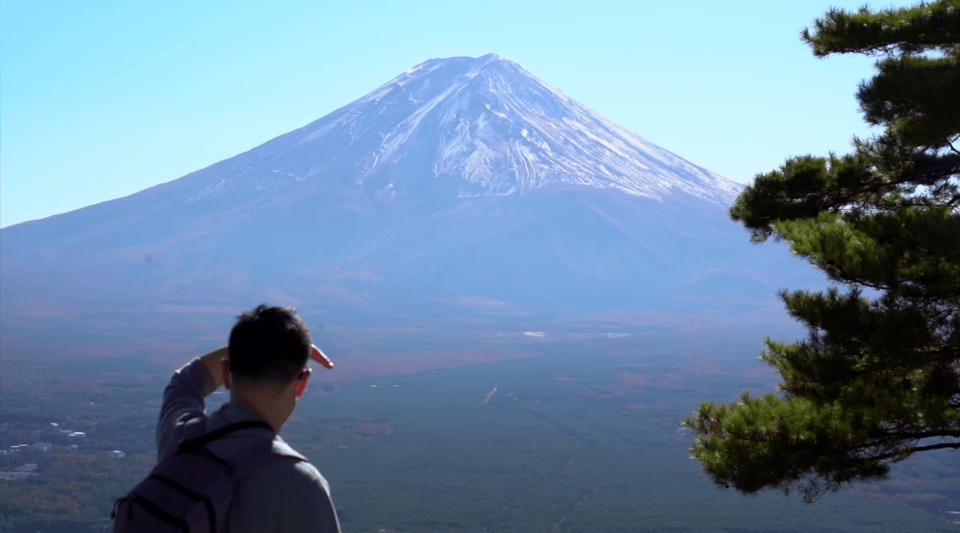 Mt Fuji & Hakone: Sightseeing Private Day Tour With Guide - Tour Details