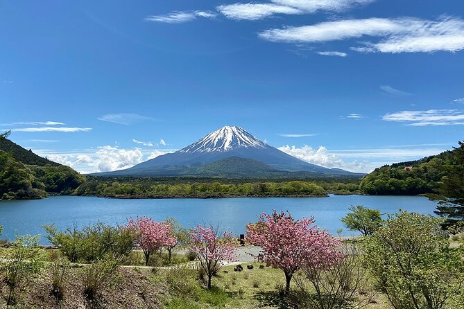 Mt Fuji Lakeshores Full-Day Bike Tour - Key Takeaways