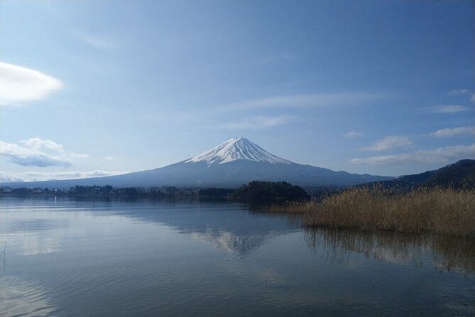 Mt Fuji With Kawaguchiko Lake Day Tour - Itinerary Details