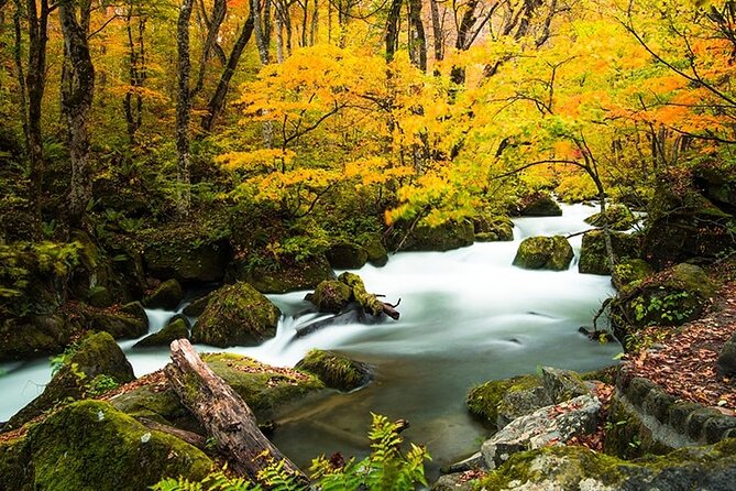 Oirase Gorge and Lake Towada Day Hike With Government-Licensed Guide - Key Takeaways