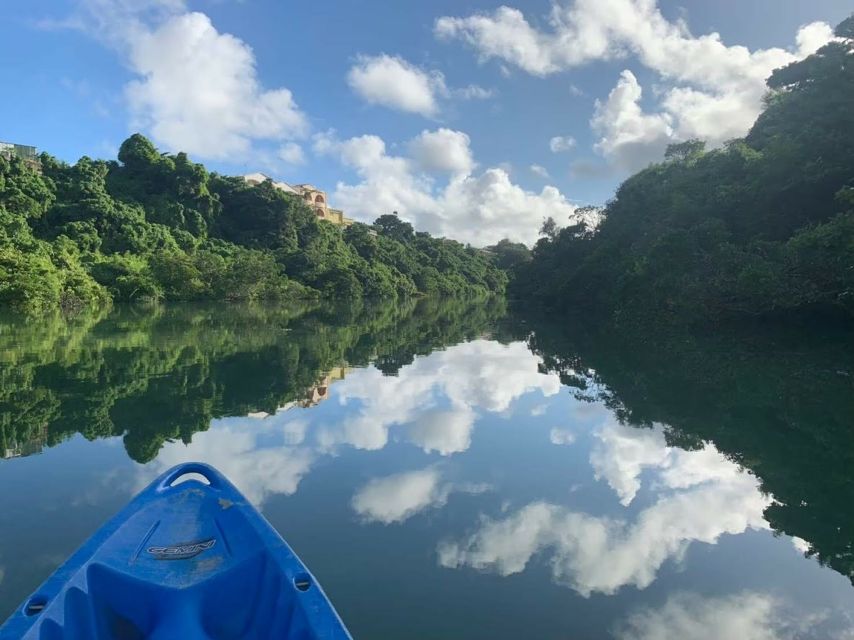 Okinawa: Mangrove Kayaking Tour - Key Takeaways