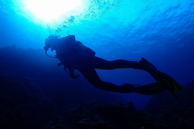 Okinawa Scuba Diving for Certified Divers (3 Boat Dives Lunch) - Key Takeaways