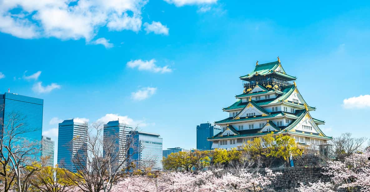 Osaka: 1-Day Private Customizable Trip by Car - Just The Basics