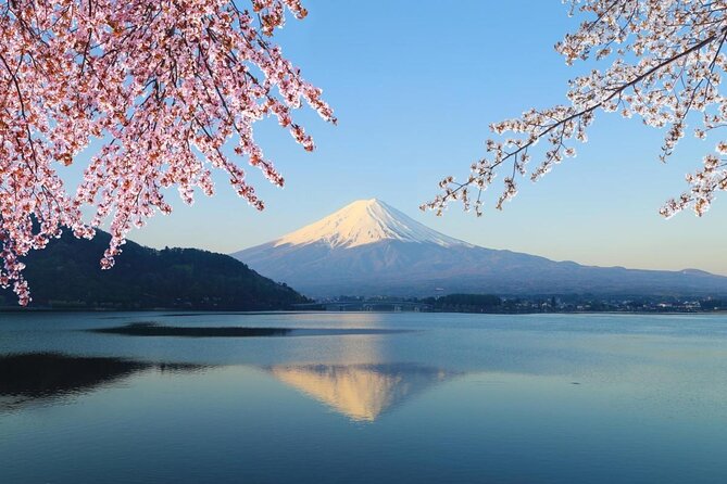 Paragliding in Tandem Style Over Mount Fuji - Just The Basics