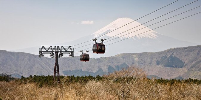 Private Hakone Tour - View of Mt. Fuji, Nature and Culture - Just The Basics