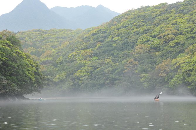 Private Half-Day Kayaking Trip on Kyushus Anbo River 2024 - Kagoshima Prefecture - Key Takeaways